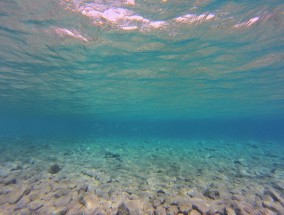 深圳出海旅游，探索海洋的无限魅力,深圳出海旅游景点推荐