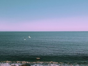 探索宁夏的璀璨明珠，水洞沟遗址旅游区,宁夏水洞沟遗址旅游景区