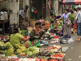 李子柒更新了，探索新的美食与文化之旅