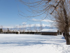 正月哈尔滨旅游攻略，冰雪之城的冬日魅力,正月十五哈尔滨哪里好玩