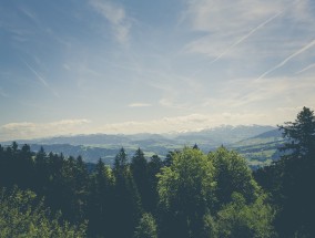 广东省森林旅游新兴品牌，自然探索与生态体验的新纪元,广东省国家级森林公园