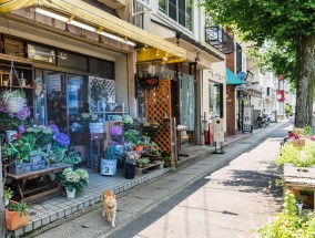 中央严令，退休干部不得在农村占地建房,退休人员可回村建房吗