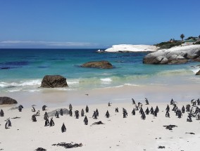 湖北江门旅游，探寻自然美景与人文魅力的完美结合,江门旅游景点排行榜