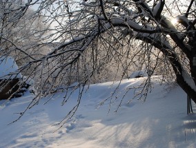 大范围阴雨雪将持续到下下周——气象分析与应对策略,大范围雨雪将覆盖超7成国土