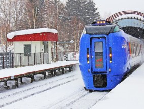 颐和园旅游车的魅力之旅,颐和园旅游车限乘人数多少