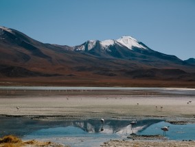 大治旅游景点，探索魅力无穷的风景名胜,大治旅游景点有哪些好玩的地方