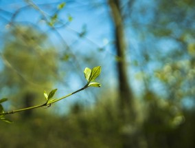 不负好时光，春耕备耕忙的序曲,春耕备耕忙 不负好时光下一句