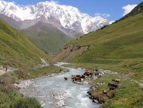 河北野山坡旅游景点，自然与历史的交织之美,河北野山坡旅游景点介绍