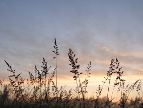 德清新旅游区，揭开历史与自然的双重魅力,德清旅游景区