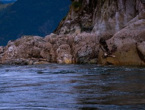 池州旅游攻略，从北京出发，探索江南水乡的独特魅力,池州旅游路线