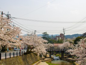 綦江鸡公嘴旅游，探秘自然美景，体验独特文化之旅,綦江鸡公嘴农家乐电话