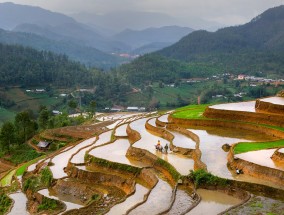 乡村旅游生态园的繁荣与发展,乡村生态休闲旅游