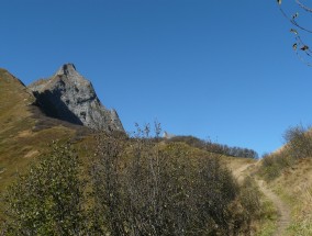 江西到漳州旅游攻略,江西到漳州要隔离吗