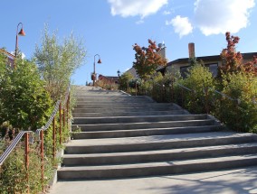 安徽黄山临时关闭部分游步道，保护自然，保障游客安全,黄山不走路线路