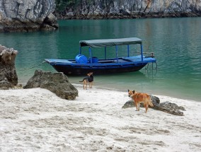 哒啦仙谷旅游景区，仙境之旅的绝佳选择,哒啦仙谷旅游景区电话