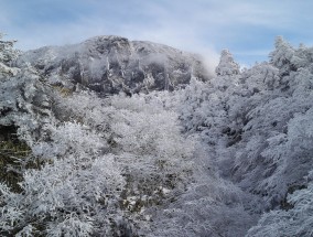 大雪纷飞，给韩国带来混乱也带来欢笑，因为它覆盖了整个韩国。