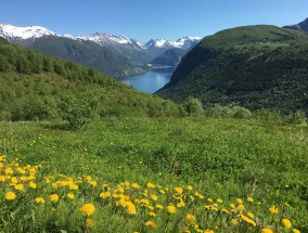 浙江余村旅游，自然与文化的完美融合,浙江余村旅游攻略