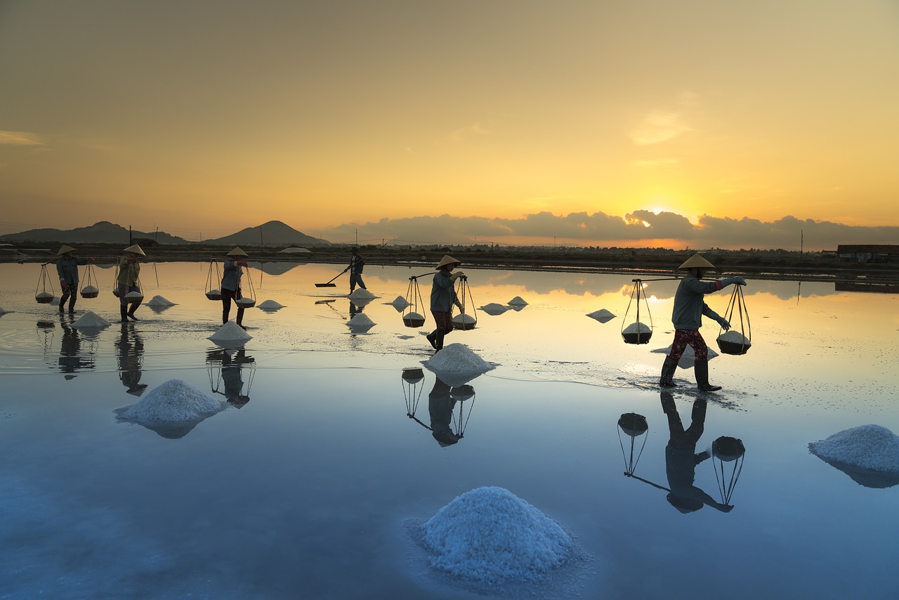 清泉湾生态旅游，自然之韵，探索之旅,清泉湾生态旅游度假区电话  第1张