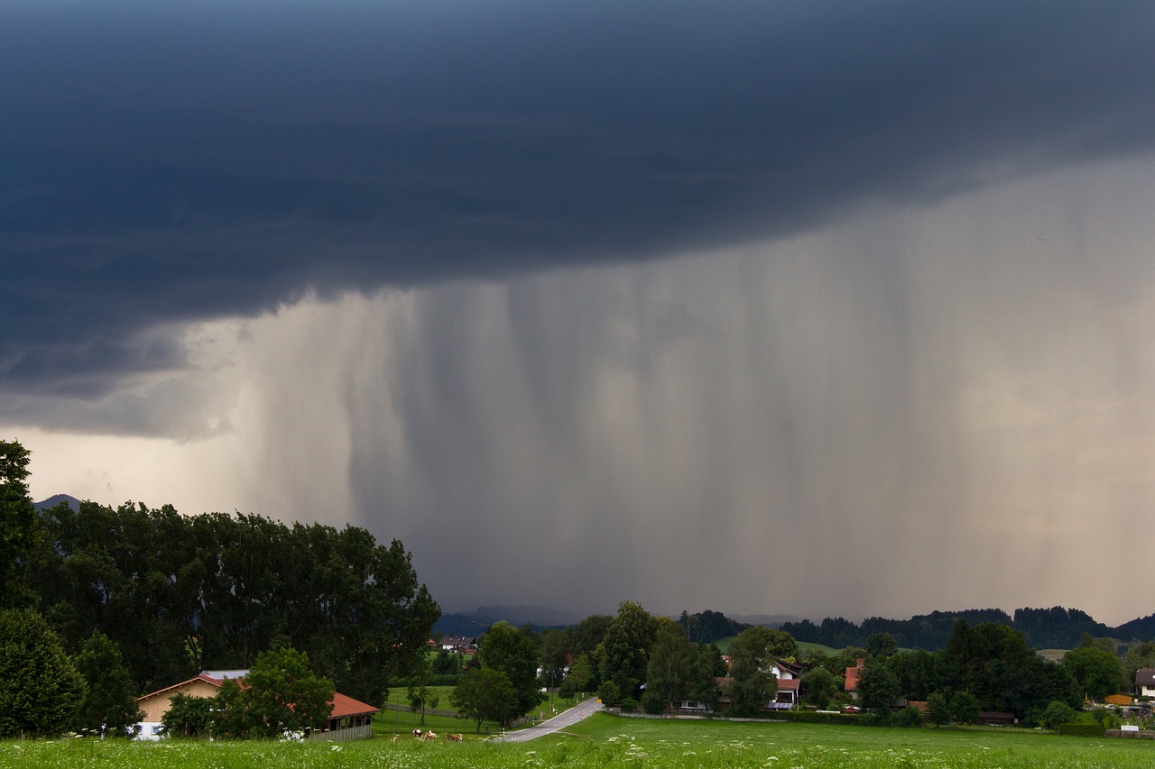 十一月，雨、冰雹和强风交加，风暴在皮尔巴拉地区留下了一片破坏的痕迹。  第1张