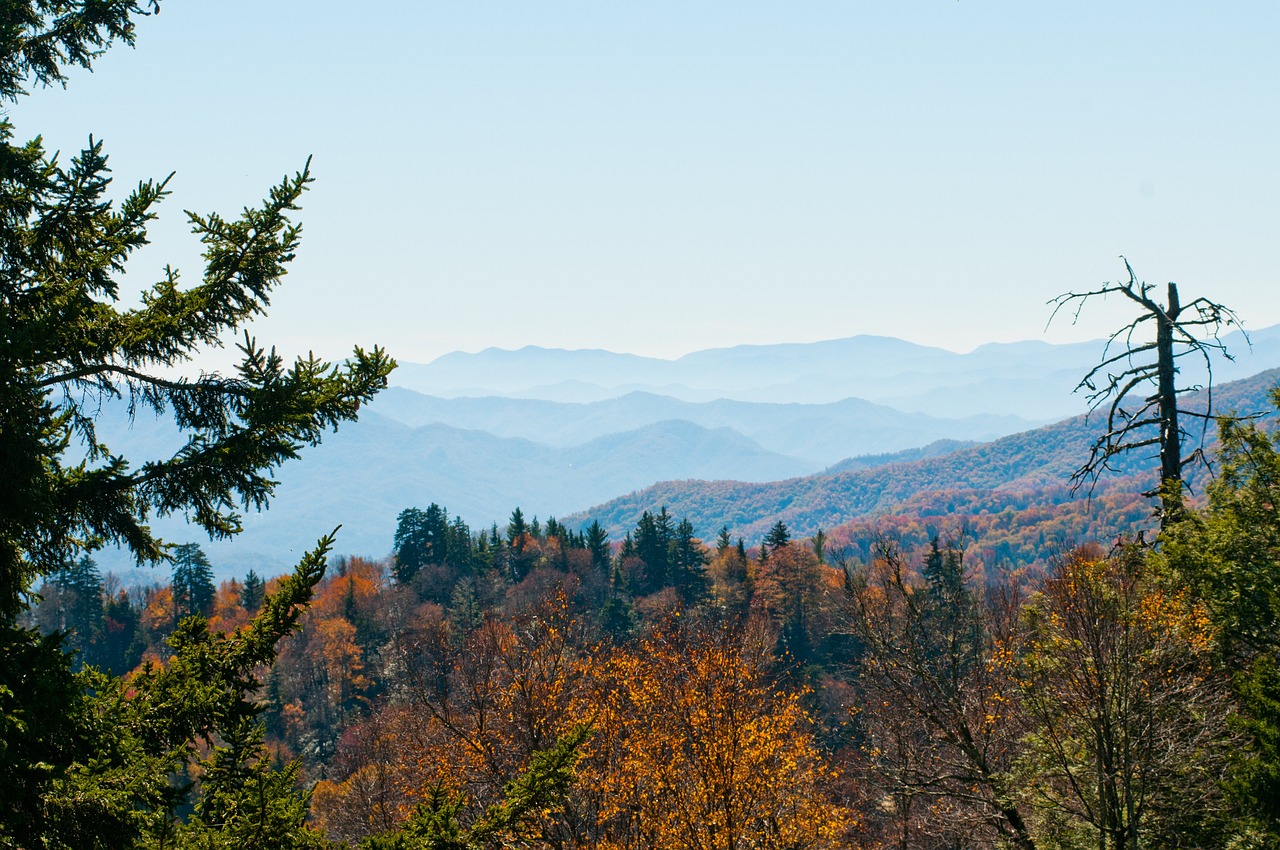 阿巴拉契亚州立大学（Appalachian State）以34-20的比分战胜詹姆斯·麦迪逊大学（James Madison），破坏了该大学在太阳联盟（Sun Belt）冠军争夺中的机会。  第1张