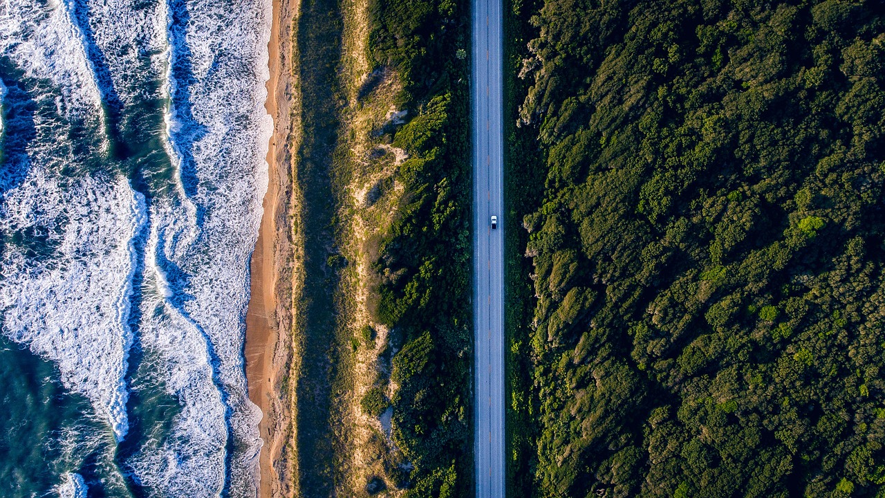 研究发现，人类活动造成的水下噪音污染可能对海洋生物造成深远影响  第1张