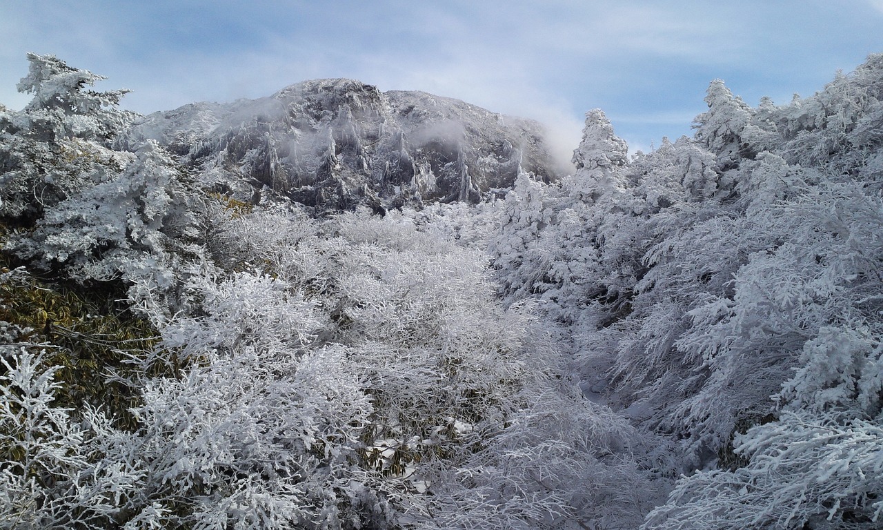 大雪纷飞，给韩国带来混乱也带来欢笑，因为它覆盖了整个韩国。  第1张