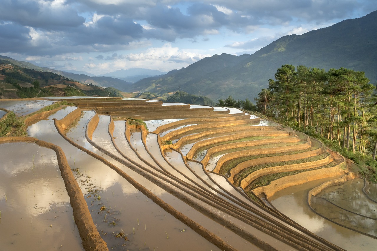 余川旅游景区，自然美景与文化底蕴的完美结合,余川镇景点  第1张