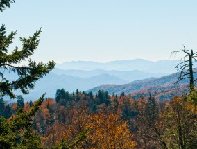 阿巴拉契亚州立大学（Appalachian State）以34-20的比分战胜詹姆斯·麦迪逊大学（James Madison），破坏了该大学在太阳联盟（Sun Belt）冠军争夺中的机会。