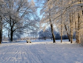 温哥华冬季旅游攻略，体验冰雪奇缘的绝佳之旅,温哥华冬天