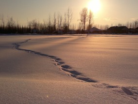 大雪纷飞追冬趣，冰雪运动好时节,大雪纷飞冬来到求下联