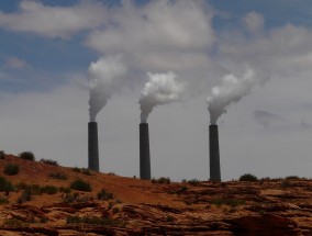 辽宁某地垃圾遍地现象引发关注，政府的回应与行动,辽宁垃圾发电拟建项目