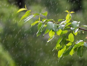 下周大范围降水与强冷空气来袭，应对与准备,下周会有雨吗