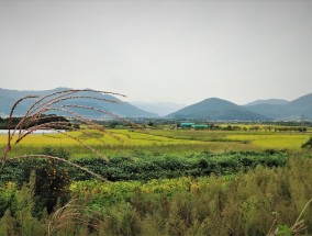 萨拉乌苏旅游，探秘美丽的自然风光与深厚文化底蕴,萨拉乌苏旅游区游玩攻略