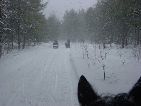 韩民众雪中裹锡箔纸敦促逮捕尹锡悦，一场社会舆论的风暴,尹锡悦怎么了