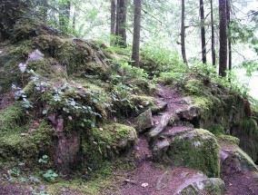 上海到大明山旅游攻略,上海到大明山旅游路线