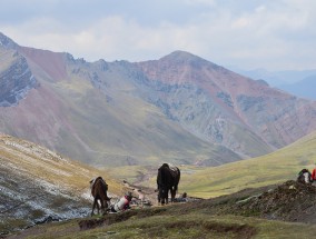 拉萨经典旅游，探寻神秘高原的魅力之都,拉萨著名旅游