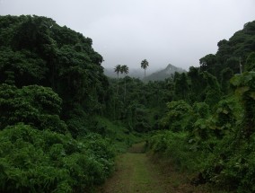 湖北十月旅游，金秋之旅的绝佳体验,湖北十月旅游景点推荐