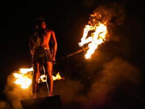 韩国消防遭遇重大灾难，预计起火客机上的179人全部遇难,韩国消防救援