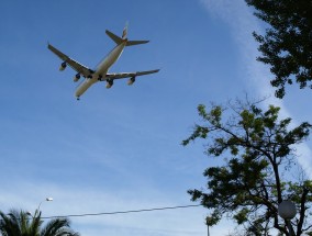 阿总统，阿航空难因飞机遭地面攻击,阿总统否认携款逃离