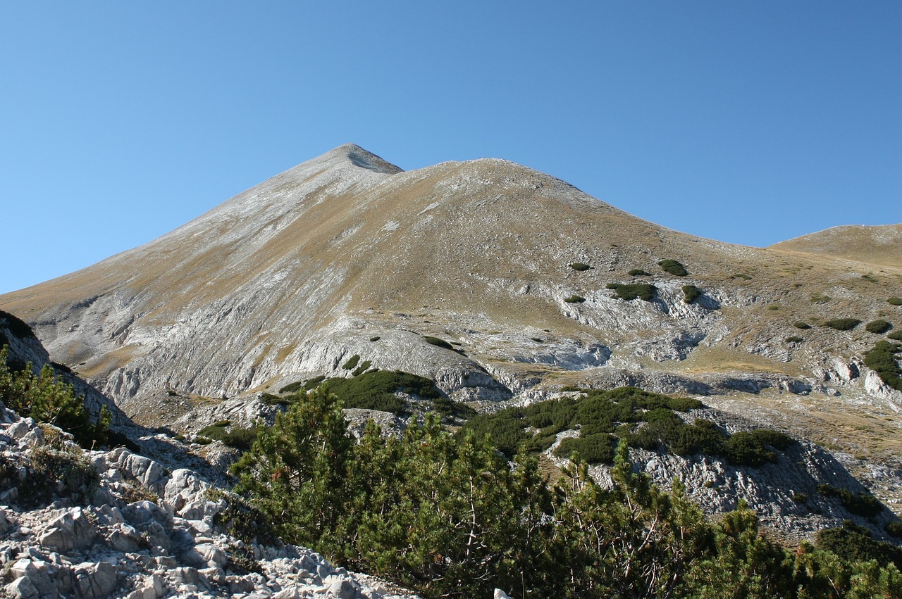 带老人去黄山旅游攻略，一次难忘的登山之旅,带老人游黄山旅游攻略  第1张