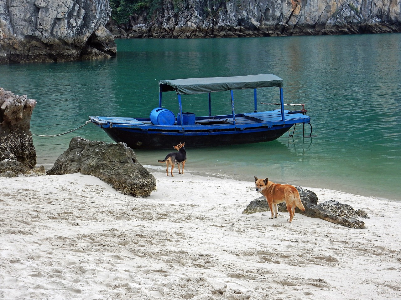 哒啦仙谷旅游景区，仙境之旅的绝佳选择,哒啦仙谷旅游景区电话  第1张