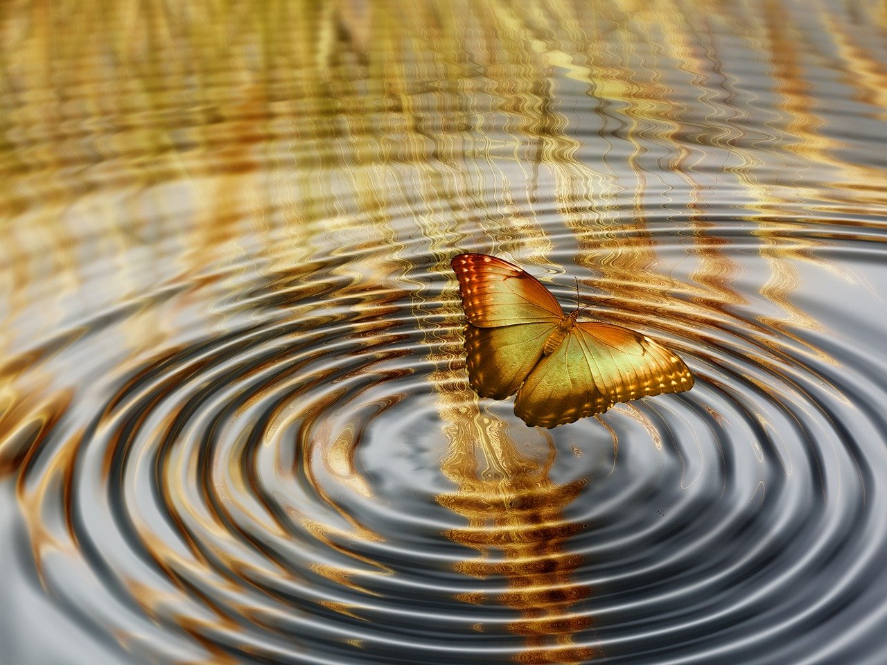 探索舞蹈社团的魅力与意义，一种深入的认识,对舞蹈社团的认识和了解  第1张