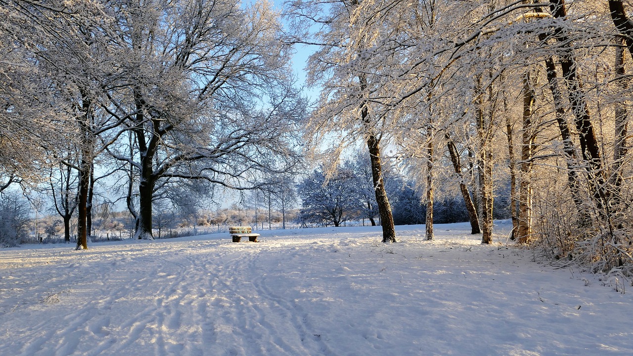 温哥华冬季旅游攻略，体验冰雪奇缘的绝佳之旅,温哥华冬天  第1张