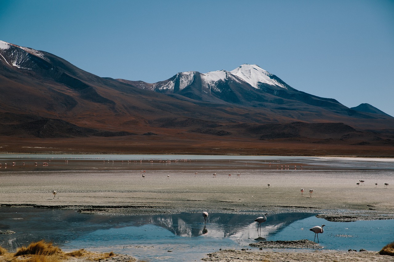 探索中国顶级旅游胜地，揭秘5A级旅游区的魅力与特色,旅游5a景区  第1张