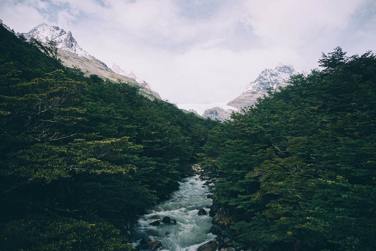 三月哪里适合旅游，探寻春天的脚步与美景的交融,三月哪里适合旅游呢  第1张