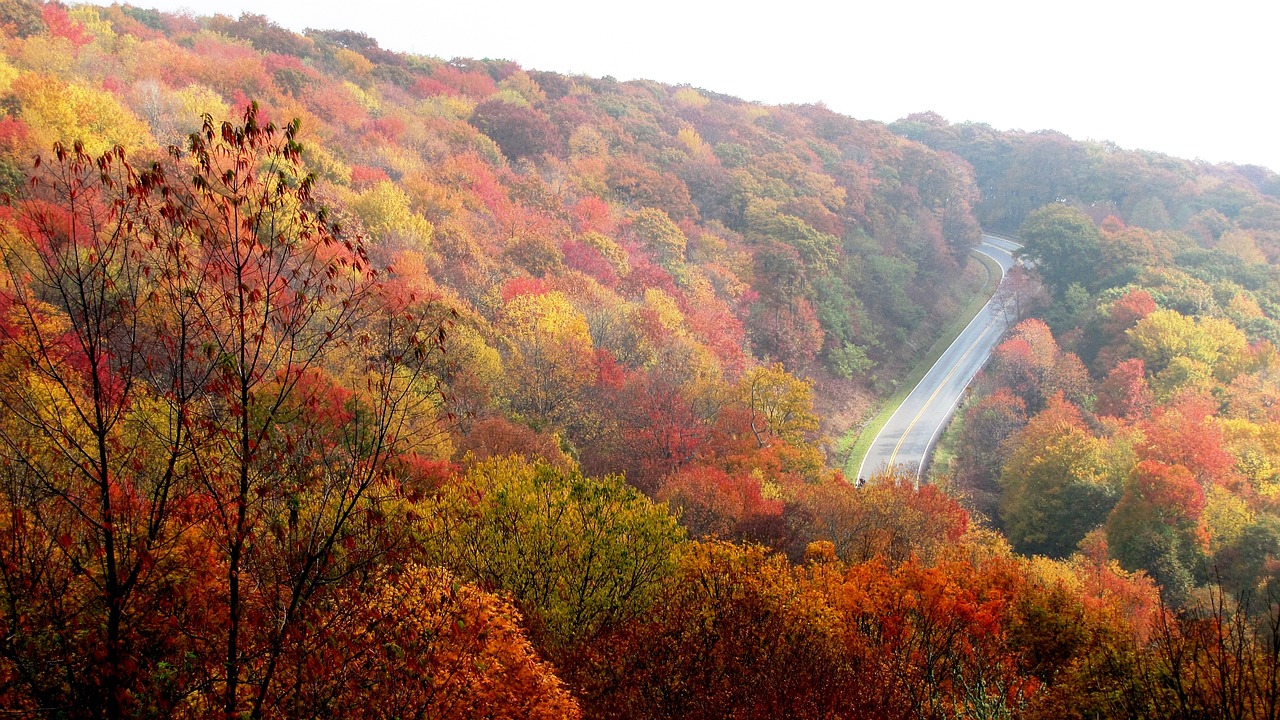 11月，金秋时节，适合老人旅游的黄金时期,11月适合老人旅游去哪好  第1张