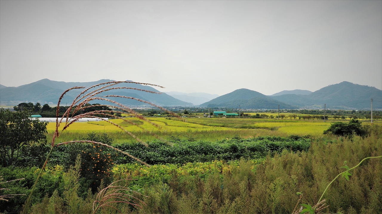 萨拉乌苏旅游，探秘美丽的自然风光与深厚文化底蕴,萨拉乌苏旅游区游玩攻略  第1张