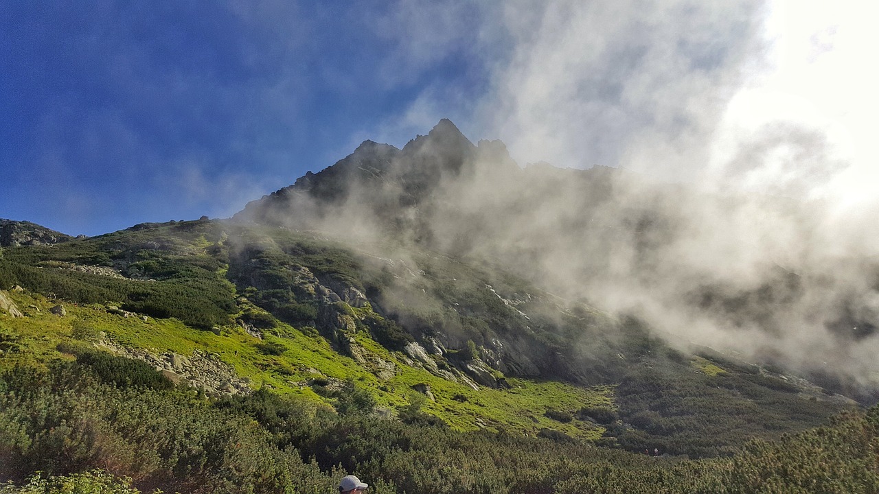 张家界旅游优惠，探索自然美景的绝佳选择,张家界旅游优惠政策最新消息  第1张