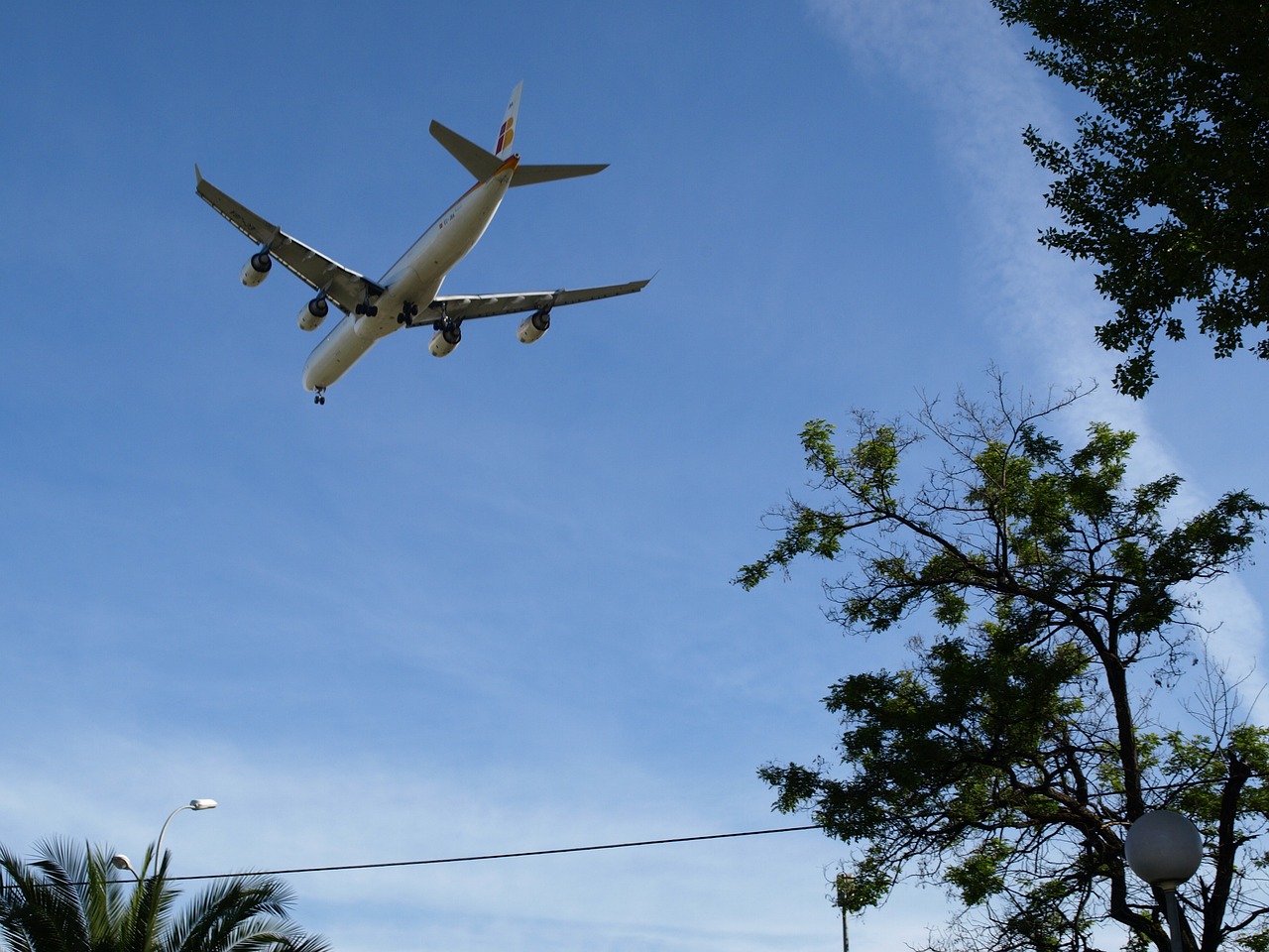 阿总统，阿航空难因飞机遭地面攻击,阿总统否认携款逃离  第1张