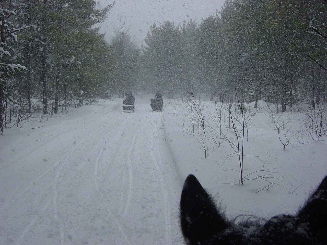 韩民众雪中裹锡箔纸敦促逮捕尹锡悦，一场社会舆论的风暴,尹锡悦怎么了  第1张